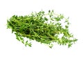 Bunch of fresh thyme on isolated white background Royalty Free Stock Photo