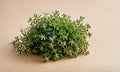 A bunch of fresh thyme sits on a brown surface Royalty Free Stock Photo