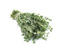 Bunch of fresh thyme on white background Royalty Free Stock Photo