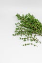 A bunch of fresh thyme on a white background. Royalty Free Stock Photo