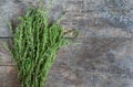 Bunch fresh thyme on a wooden table background Royalty Free Stock Photo