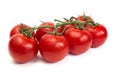 Tassel of fresh tomatoes with water drops. Isolated on white background Royalty Free Stock Photo