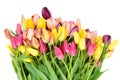 Bunch of fresh tulips flowers close up Royalty Free Stock Photo