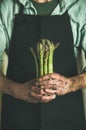 Bunch of fresh uncooked seasonal asparagus in dirty farmer`s hands Royalty Free Stock Photo