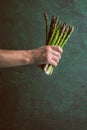 Bunch of fresh uncooked seasonal green asparagus in dirty man`s hands, selective focus, vertical composition. Gardening and local Royalty Free Stock Photo