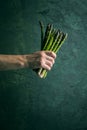 Bunch of fresh uncooked seasonal green asparagus in dirty man`s hands, selective focus, vertical composition. Gardening and local Royalty Free Stock Photo