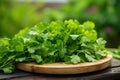 A bunch of fresh, vibrant green parsley on a thin wooden plate with a slightly blurred background