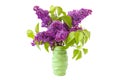 Bunch of fresh violet Syringa vulgaris in Lilac flower Royalty Free Stock Photo