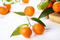 Mandarin Oranges on rustic white wooden background