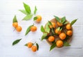 Mandarin Oranges on rustic white wooden background