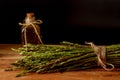 bunch of fresh wild asparagus with bottle of olive oil Royalty Free Stock Photo