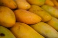 Bunch of fresh yellow mango fruits on  a counter on a food market stall. Mangos growing on a large fruit tree. The sweet tropical Royalty Free Stock Photo