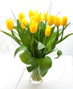 Yellow tulips on white background still life