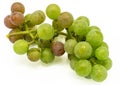 A bunch of freshgrapes Royalty Free Stock Photo