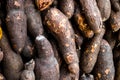 Bunch of freshly harvested Cassava root crop. Royalty Free Stock Photo