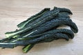 Crisp organic green lacinato kale