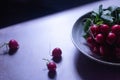 A bunch of freshly harvested red baby radishes on a plate