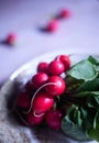 A bunch of freshly harvested red baby radishes on a plate