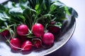 A bunch of freshly harvested red baby radishes on a plate
