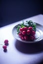 A bunch of freshly harvested red baby radishes on a plate