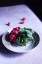 A bunch of freshly harvested red baby radishes on a plate