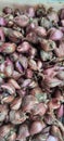 a bunch of freshly harvested shallots Royalty Free Stock Photo