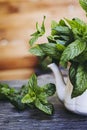 Bunch of freshly picked aromatic mint Royalty Free Stock Photo
