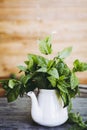 Bunch of freshly picked aromatic mint Royalty Free Stock Photo