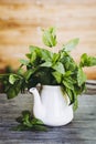 Bunch of freshly picked aromatic mint Royalty Free Stock Photo