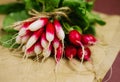 A bunch of freshly picked red radishes on crumpled kraft paper. Growing vegetables, harvesting