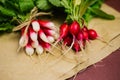 A bunch of freshly picked red radishes on crumpled kraft paper. Growing vegetables, harvesting