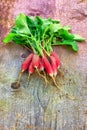 Bunch of freshly picked red & white organic variety french breakfast on wooden background.