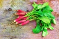 Bunch of freshly picked red & white organic variety french breakfast on wooden background.