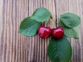 Bunch of freshly picked ripe cherries on wooden table Royalty Free Stock Photo