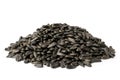 Bunch of fried sunflower seeds on a white, close up Royalty Free Stock Photo