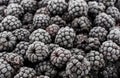 Bunch of frozen blackberries close up Royalty Free Stock Photo