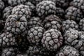 Bunch of frozen blackberries close up Royalty Free Stock Photo