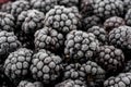 Bunch of frozen blackberries close up Royalty Free Stock Photo