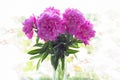 Bunch of fuchsia peonies in the vase on blurred background. Idea for wallpaper, poster.