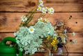 Bunch of garden herbs and flowers in a water-can Royalty Free Stock Photo