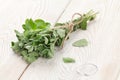 Bunch of garden oregano herb Royalty Free Stock Photo