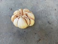 a bunch of garlic as a food flavoring on a dusty table
