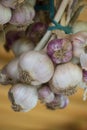 Bunch of Garlic Royalty Free Stock Photo