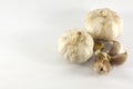 A bunch of Garlic Royalty Free Stock Photo