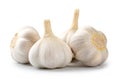 Bunch of garlic heads on a white background isolated Royalty Free Stock Photo
