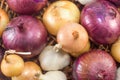 Bunch of garlic and onions Royalty Free Stock Photo