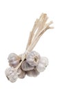 Bunch Garlic, White Background. Royalty Free Stock Photo
