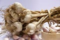 Bunch of garlic on white background Royalty Free Stock Photo