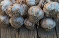 Bunch of garlic