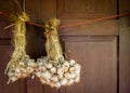Bunch of garlic Royalty Free Stock Photo